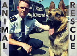 animal rescue
