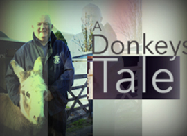 donekys tale