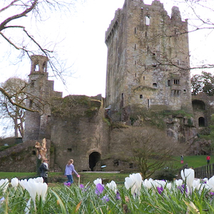 The Blarney Castle Experience